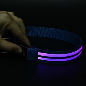 Neuer Bestseller Fabrik-Niedrigpreis Großhandel USB LED Doppel-Glasfaser Leuchtender Sicherheitskragen für Haustiere Katzen und Hunde - Product Image 4