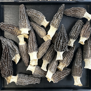 Morilles vieilles cultivées de 5-7 cm, séchées naturellement à l'air, légèrement amères, de haute qualité, vente en gros en vrac, directement de l'usine - Product Image 5