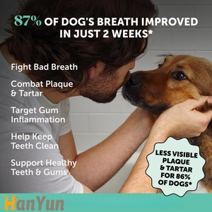 Hanyun OEM/ODM poudre dentaire pour animaux de compagnie de marque privée en gros suppléments pour soins bucco-dentaires soutient l'haleine fraîche des chiens et garde les dents propres - Product Image 3
