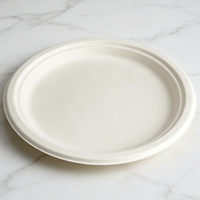 Assiettes rondes en bagasse de 10 pouces, sans arbre, compostables, jetables, biodégradables, compatibles micro-ondes et congélateur, pour fêtes