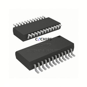 วงจรรวมไอซี TGE-2417-GR SOP-24 ของแท้ 100% ใหม่เอี่ยม รหัสสินค้า: Y2Q3C1N9 - Product Image 1