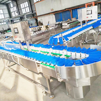 Rotatie-schijf weegsorteermachine met PLC-besturing, fruit-, groente- en visweegsorteerder voor oesters, garnalen, kippenpootjes en noten