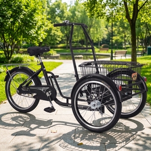 Oferta Especial: Triciclo Doble para Adultos Mayores con Asiento Trasero, Carrito de Compras, Marco de Acero al Carbono, Ruedas de 20 Pulgadas, Freno de Disco Trasero - Product Image 6