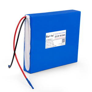 Batterie lithium-ion ternaire 22,2 V 45,5 Ah pour robots AMR, stations d'alimentation portables et équipements de surveillance industrielle - Product Image 1