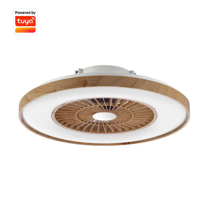 China Professionele Vervaardiging Thuis Fan Lamp Decor Plafond Ventilator Met Led Licht Smart Control