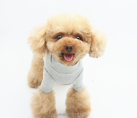 Vêtements pour animaux de compagnie OEM personnalisés avec logo, tenue unie pour chien, chemises et t-shirts pour chien automne-hiver, vêtements pour animaux 3XL