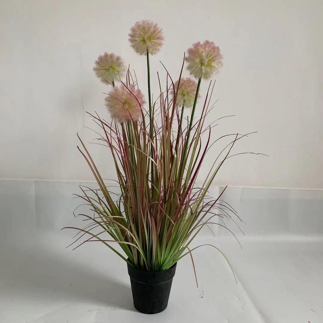 Dente di leone rosa 75 cm con 5 teste