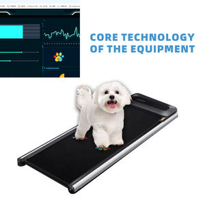 Pelacak tekanan Plantar, peralatan rehabilitasi Orthotics Treadmill hewan peliharaan untuk rumah sakit spesialis rehabilitasi hewan peliharaan - Product Image 4