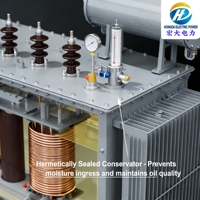 Transformador de Potencia Trifásico Sumergido en Aceite, 50/60Hz, Salida de 33KV, Capacidad de 100-630KVA, Estructura de Bobina Toroidal de Aluminio