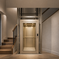Ascenseur compact intégré au mur pour maison, économiseur d'espace, pour villas résidentielles de 2 à 3 étages, intérieur