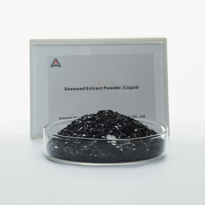 Compost organique soluble dans l'eau extrait d'<span class=keywords><strong>algues</strong></span> vertes acide alginique poudre d'<span class=keywords><strong>algues</strong></span> de varech engrais organique noir vente en gros - Product Image 1