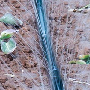 Selang Hujan Mikro Berkualitas Tinggi, Selang Semprot Mikro 0.2mm-0.5mm untuk Irigasi Kebun Pertanian - Product Image 6