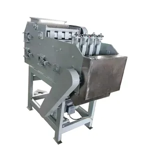 Nigéria Castanha De Caju Sheller automático Descascar Máquina de Processamento