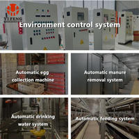 Système de cages à poulets de chair de type H avec alimentation et abreuvement automatiques et élimination des excréments pour poulailler