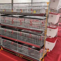 Cage à poulets verticale intégrée à 4 niveaux pour l'élevage et la reproduction des poussins, cage spéciale de petite taille pour la famille, sans alimentation électrique