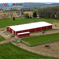Construction d'une arène équestre avec structure en acier à travées libres et dimensions personnalisées pour projets d'équitation professionnelle