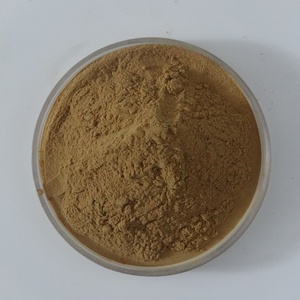 Amla Extract Powder Amla Food Grade Powder Amla Fruit Powder - Product Image 1