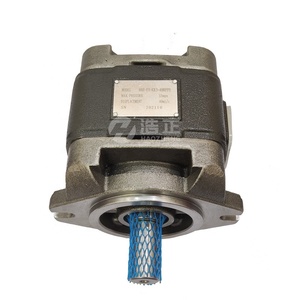 Bomba de engranajes de alta presión serie HG0HG1 HG2 HG0-08-01R-VPC HG0-10-01R-VPC HG0-13-01R-VPC Venta directa de fábrica - Product Image 1