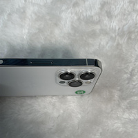 Vente en gros d'iPhone d'occasion - iPhone 13 Pro d'occasion - Prix de gros - État B - 128 Go - Original - 5G