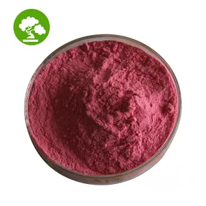 Polvo rojo Carophyll aditivo colorante alimentario de alta calidad