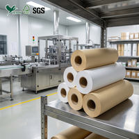 Rouleau Jumbo de revêtement aqueux compostable sans plastique, simple face, pour machines automobiles, biodégradable et recyclable, pour usage en gelée