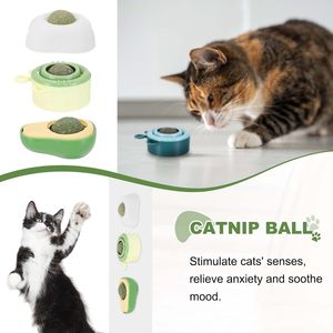 PETAXCELL Balle à mâcher en plastique décontractée à la catnip pour chats d'intérieur, jouet rotatif pour le nettoyage des dents, vert jaune, petite taille - Product Image 6