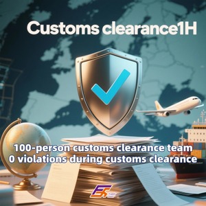 Trasporto professionale dalla Cina a DE PL IT UK FR via aerea. Spedizione con DHL FEDEX UPS LCL FCL. Tasso di rilascio del 99%. Agenti. - Product Image 6