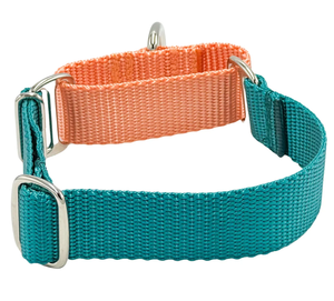 <span class=keywords><strong>Collar</strong></span> de Perro Ajustable de Nailon Suave Personalizado y Económico, <span class=keywords><strong>Collar</strong></span> de Perro de Nailon y Poliéster de <span class=keywords><strong>1</strong></span> Pulgada - Product Image 5