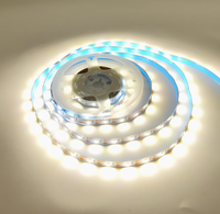 Bandes lumineuses LED RGB transfrontalières 5050 basse tension, corps de lampe en PVC, indice IP20, télécommande pour la décoration d'ambiance festive