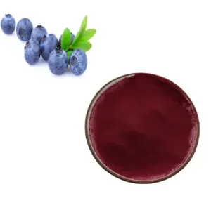 Elderberry Chiết Xuất Bột Trở Lại Elderberry Chiết Xuất 25% Anthocyanin