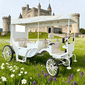 Carruaje de Caballos Vintage Personalizado de 2 Filas, Carrozas Turísticas de Diseño Personalizado, Carruaje Eléctrico Tirado por Caballos - Product Image 6