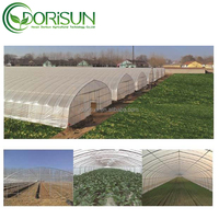 Serre en plastique économique de 30 x 10 m à vendre, taille personnalisée, serre agricole