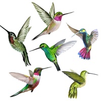 Autocollants de sécurité pour oiseaux colibris pour portes et fenêtres en verre. Autocollants électrostatiques anti-collision double face