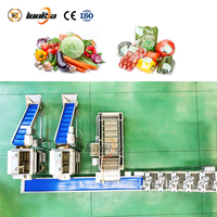 Volledig automatische aardappelenschilmachine industriële aardappelwas-, sorteer- en verpakkingslijn