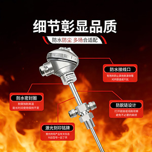 PT100 Resistance Temperature Transmitter Straight Insertion Threaded Flange Type Sensor Probe For Electric Furnaces - Product Image 2