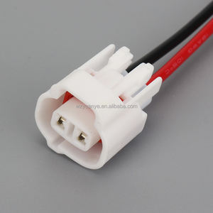 6189-0031 DJ7023-2-21 2-Poliger Wasserdichter Auto-Steckverbinder mit Nylon-ABS-Gehäuse für Sensor- und Lampenverkabelung - Product Image 3