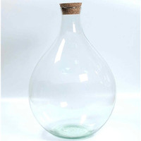 Vente chaude Décoration d'intérieur Vase en verre soufflé à la main Tube pour plantes aériennes Terrarium Contenant et couvercle en bois de liège avec lumière LED