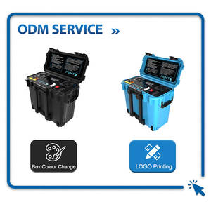 PEMF Cavalo Mala Projeto Eletromagnético Fisioterapia Cavalo Dor Redução Pemf Loop Magnético Physio Dispositivo - Product Image 6