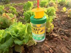 แขวนผลไม้กับ<span class=keywords><strong>ดัก</strong></span><span class=keywords><strong>แมลงวัน</strong></span>โฮมเมด Bee ปลอดภัยกับ<span class=keywords><strong>ดัก</strong></span>ที่ดีที่สุดเหยื่อขวดกับดักแมลงสาวกลางแจ้งแขวน - Product Image 4