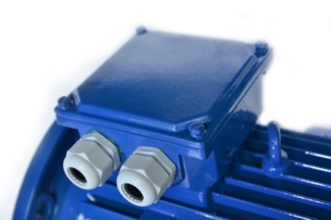 Motor de Inducción Trifásico Asíncrono HMA3 con Carcasa de Hierro, 30kw, Precio - Product Image 1