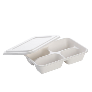 <span class=keywords><strong>Plateau</strong></span> à fruits et légumes jetable, vente en gros, 500ml, biodégradable, canne à sucre, bagasse, <span class=keywords><strong>plateau</strong></span> alimentaire avec couvercle - Product Image 4