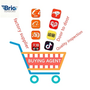 Agente de Compras Express 1688 para Sitios de Compras en el Extranjero, Envío DDP, Transitario, Conexión con Reino Unido, Estados Unidos, Italia, Europa y China - Product Image 1