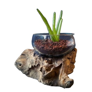 Terrário Aquário Decorativo Moderno Ecológico de Fibra de Vidro Fundido com Efeito de Madeira Flutuante, em Formato de Garrafa Semiaberta, para Plantas, Suprimentos para Atacado - Product Image 1