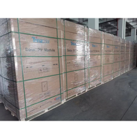 Panneau solaire officiel Trina, 132 demi-cellules, bifacial, 615w 625w 630w 635w 610w, haute qualité, haute efficacité