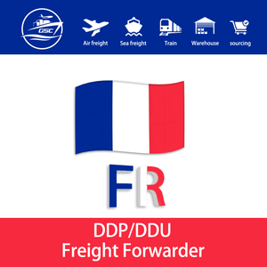 China Versandagentur Professioneller Versand nach Frankreich Deutschland USA UK DDP-Service Tür-zu-Tür Luft- und Seefracht-Spediteur - Product Image 1