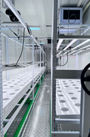 Ferme de conteneurs verticaux hydroponiques d'intérieur intelligents-Système CEA clé en main pour les légumes verts à feuilles toute l'année