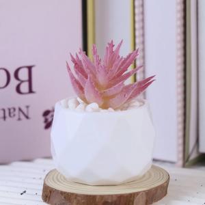 Nuevas Macetas Decorativas de Plástico Realistas para Suculentas, Centro de Mesa, Macetas Artificiales Rosas para Suculentas - Product Image 4