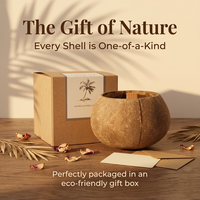Bougie aromathérapeutique artisanale en coquille de noix de coco - Créez un espace apaisant et réparateur à la maison