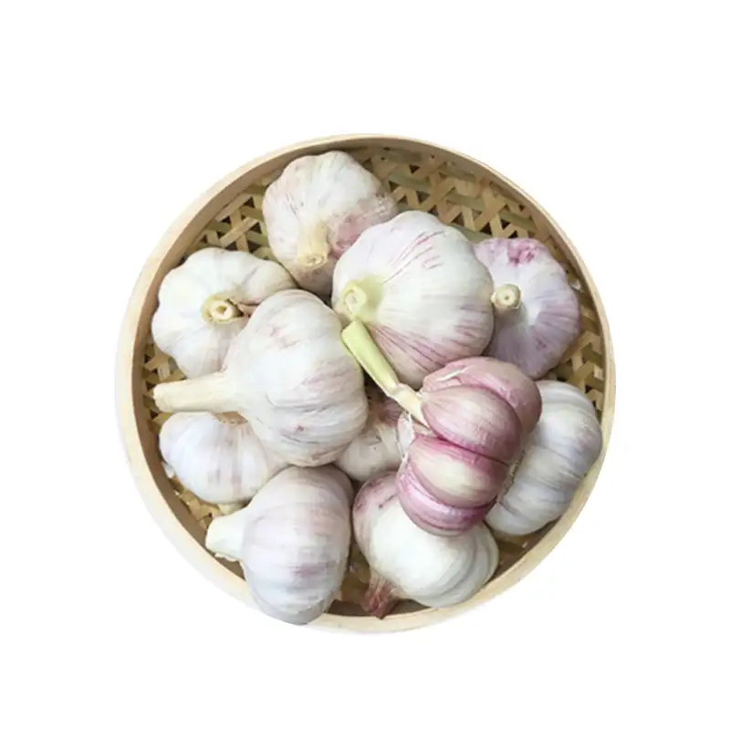 China fresh pure white garlic and normal white garlic for sale