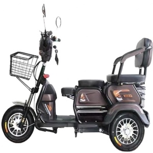 Triciclo Eléctrico de 500w con Motor Diferencial, Triciclo de 3 Ruedas para Adultos, Pasajeros y Carga - Product Image 1